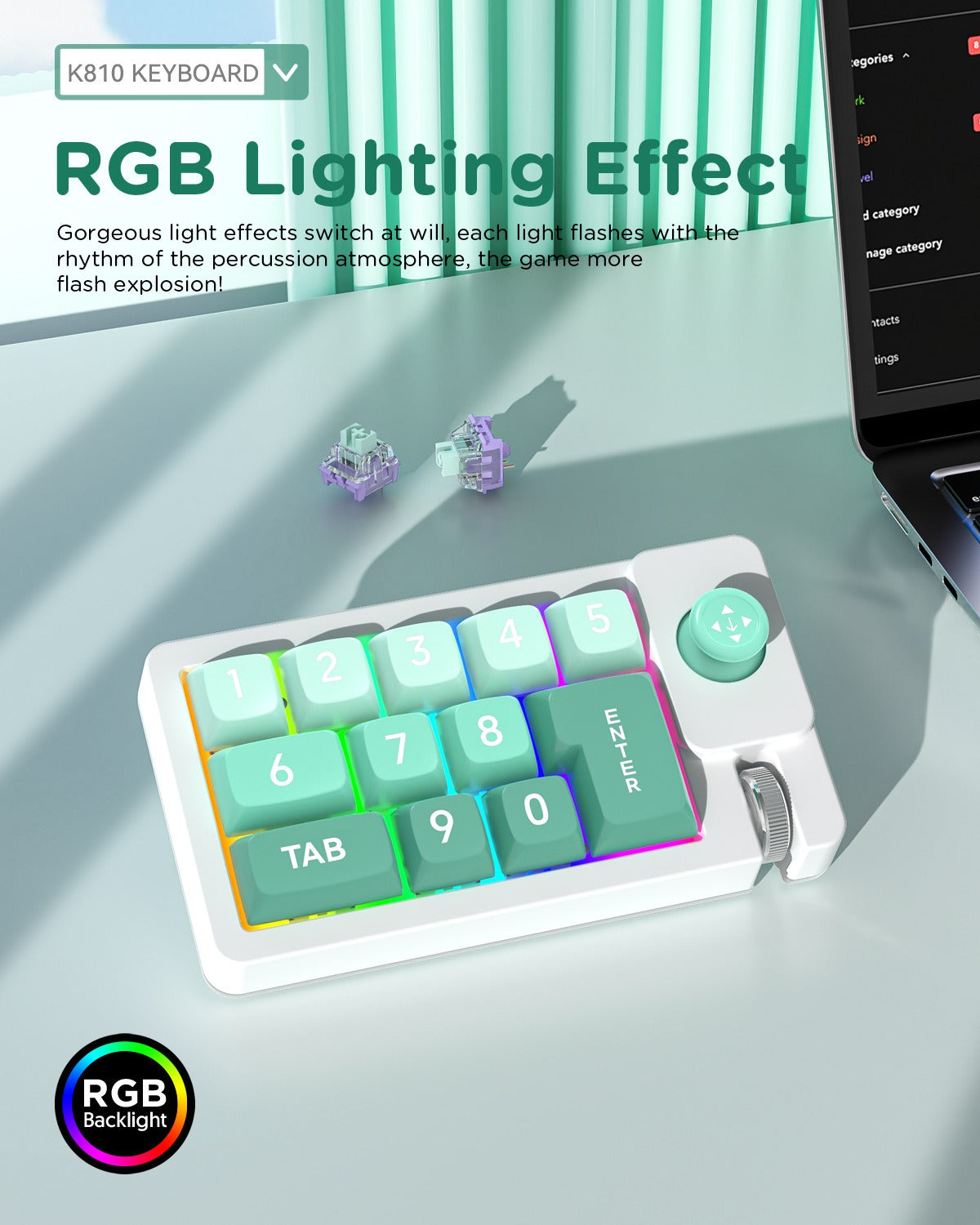 Meenova K810 Wired 12‑Key Hot‑Swappable Mechanical Numeric Keypad, Joystick Macro‑Programmable RGB Backlit USB‑C Keypad for Gaming & Office